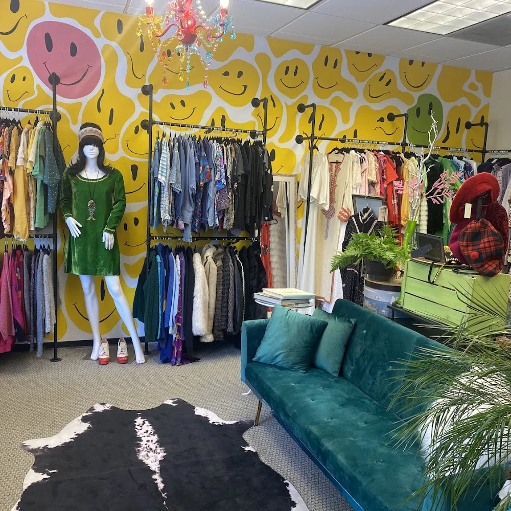 Wild Paisley Vintage business photo