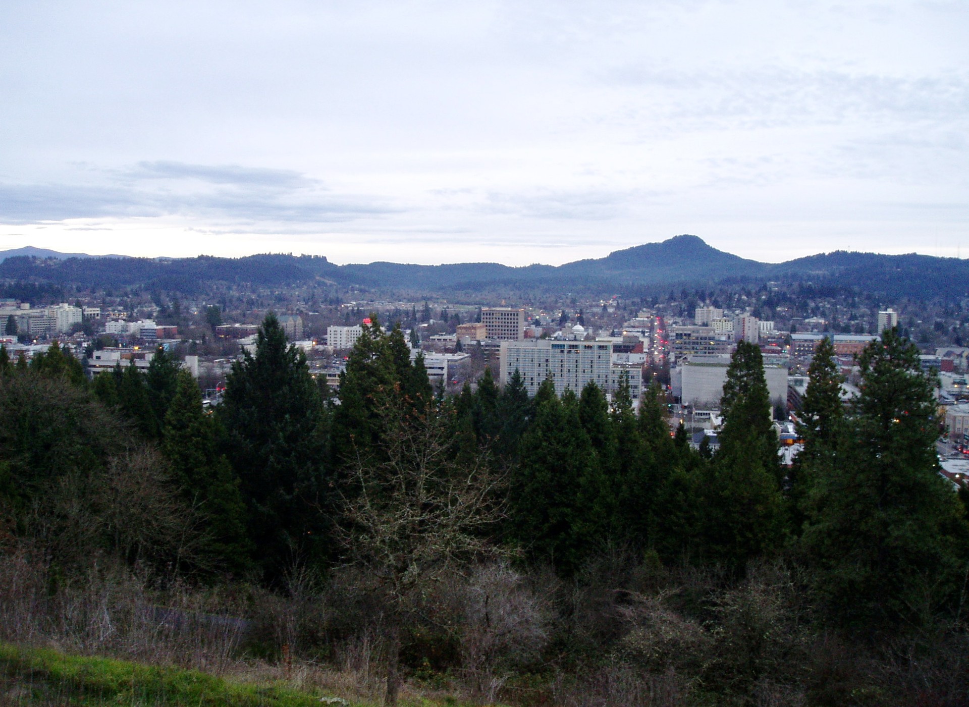 Eugene skyline viewed from Skinner Butte, 2005